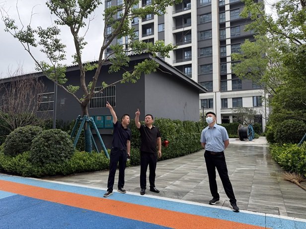 刘雅来源